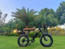 Hybrid-Bicycles Amped 6 Speed E-Bike