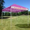 10X10ft EZ Pop Up Canopy Folding Gazebo/Vivid Viola