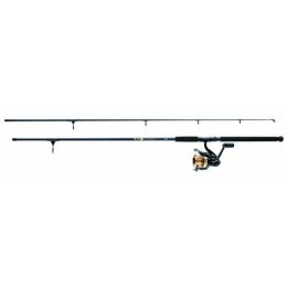 Daiwa D-Wave Saltwater PMC DW50F1002M 5000 Reel 10ft 2pc Rod