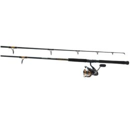 Daiwa BG Pre-Mounted Saltwater Spinning Combo 10ft Surf