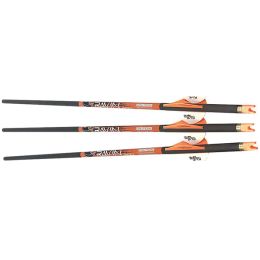 Ravin Match Weight Lighted Arrows 400gr .003 3PK