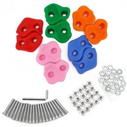 Wall Rock Jungle 10 Pieces Rock Climbing Kit Set with Mounting Screws (Set: 10 Pieces)