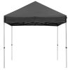 10X10ft EZ Pop Up Canopy Folding Gazebo/Black